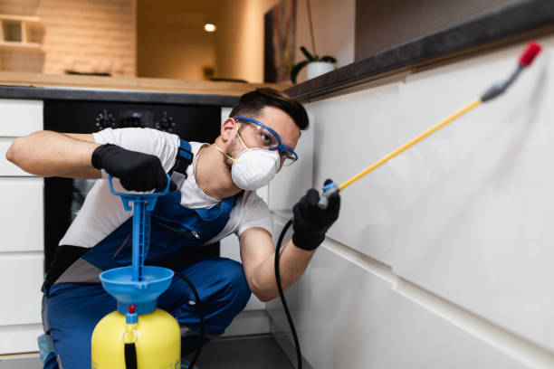 Best Flea Control Services  in Warrenton, MO