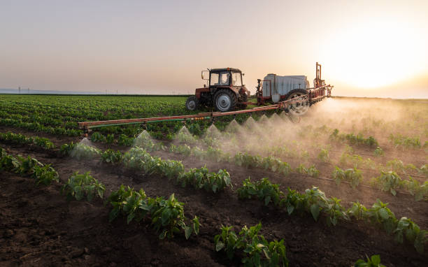 Best Pest Removal Services  in Warrenton, MO