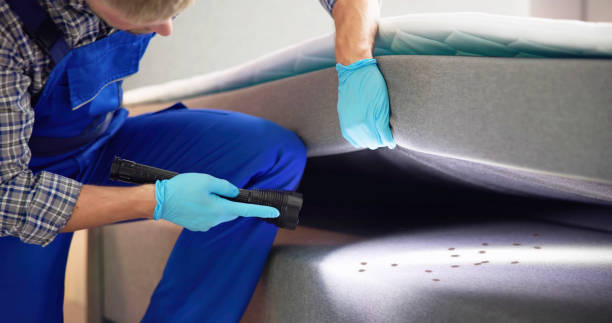 Best Affordable Pest Control Services  in Warrenton, MO
