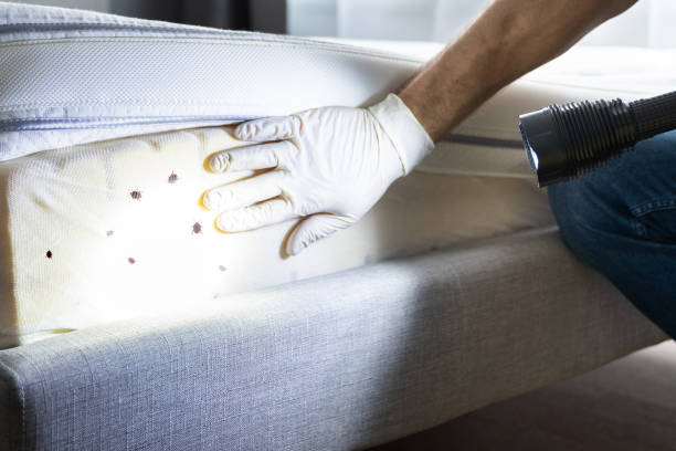 Best Exterminator Services  in Warrenton, MO